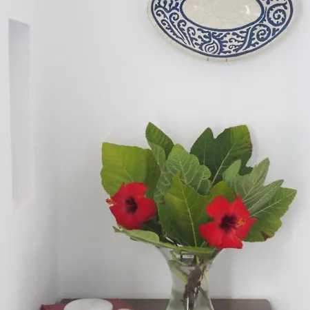 Stavros And Marianna Сasa de vacaciones *